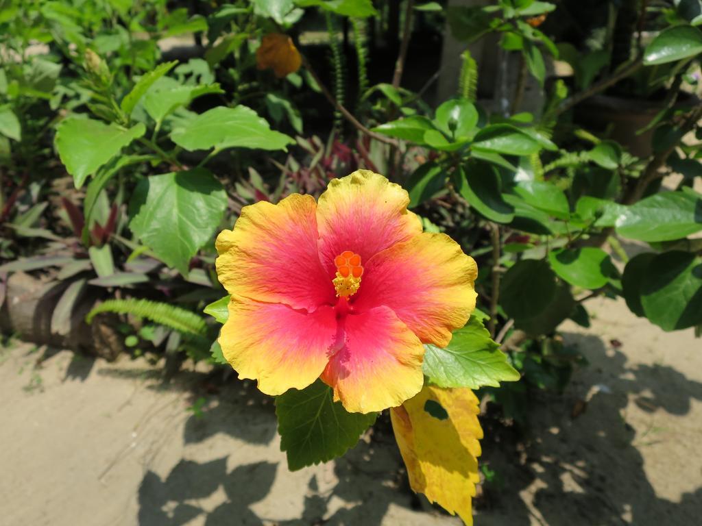 Bangbaobeach Resort Koh Chang Ngoại thất bức ảnh